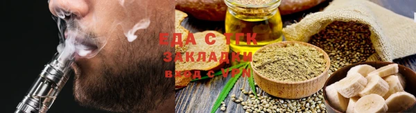 индика Новозыбков
