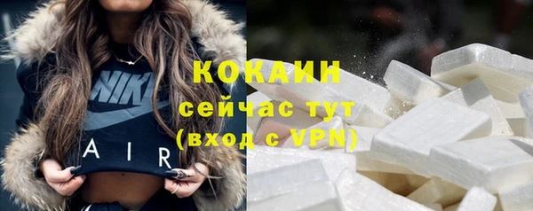 дмт Куровское