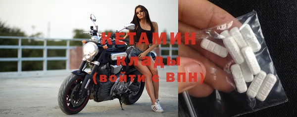 стаф Новодвинск