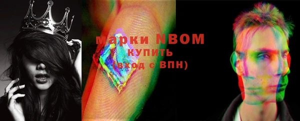 индика Новозыбков