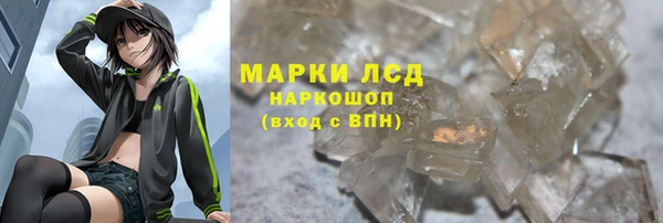 индика Новозыбков
