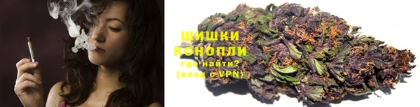 стаф Новодвинск