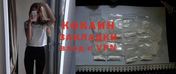 индика Новозыбков