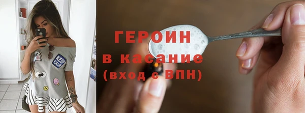 индика Новозыбков
