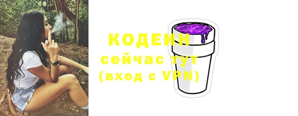 стаф Новодвинск