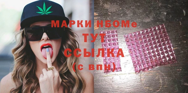гашик Няндома