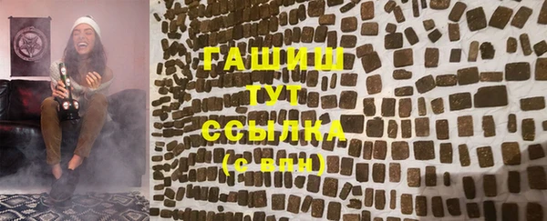 индика Новозыбков