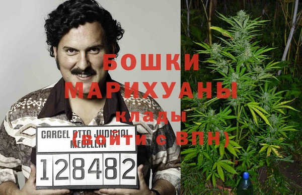 гашик Няндома