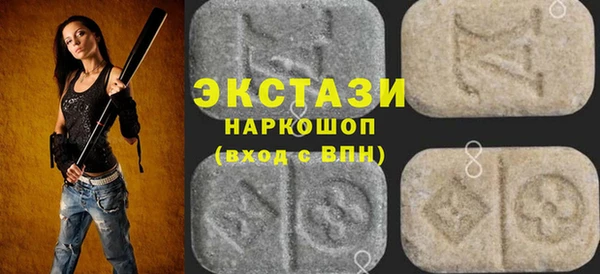индика Новозыбков