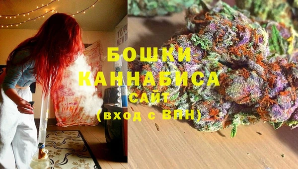 стаф Новодвинск