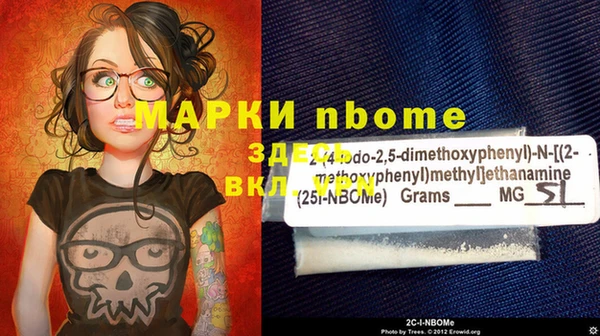 индика Новозыбков