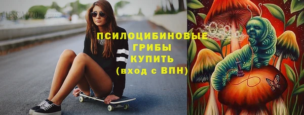 стаф Новодвинск
