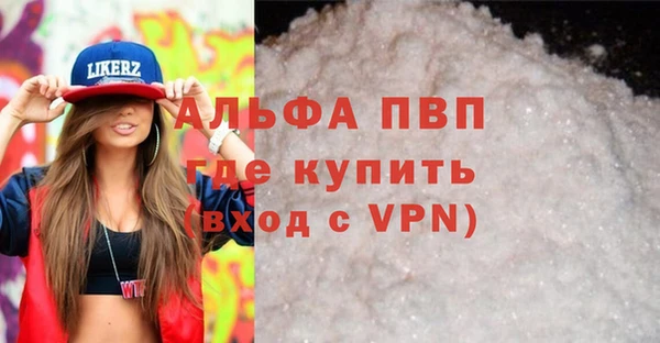 стаф Новодвинск