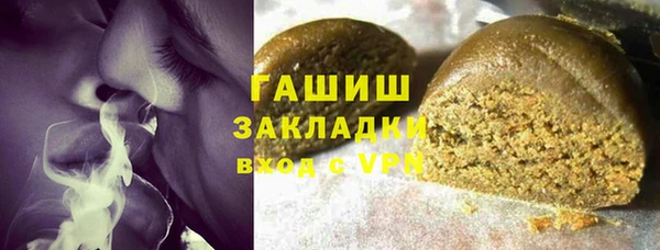 индика Новозыбков